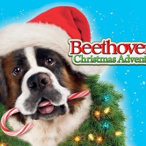 "Beethoven&#39;s Christmas Adventure photo 8"