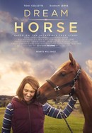 Dream Horse poster image