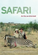 Safari poster image