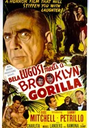 Bela Lugosi Meets a Brooklyn Gorilla poster image