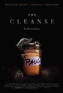 The Cleanse poster