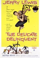 The Delicate Delinquent poster image