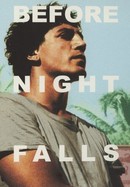 Before Night Falls poster image