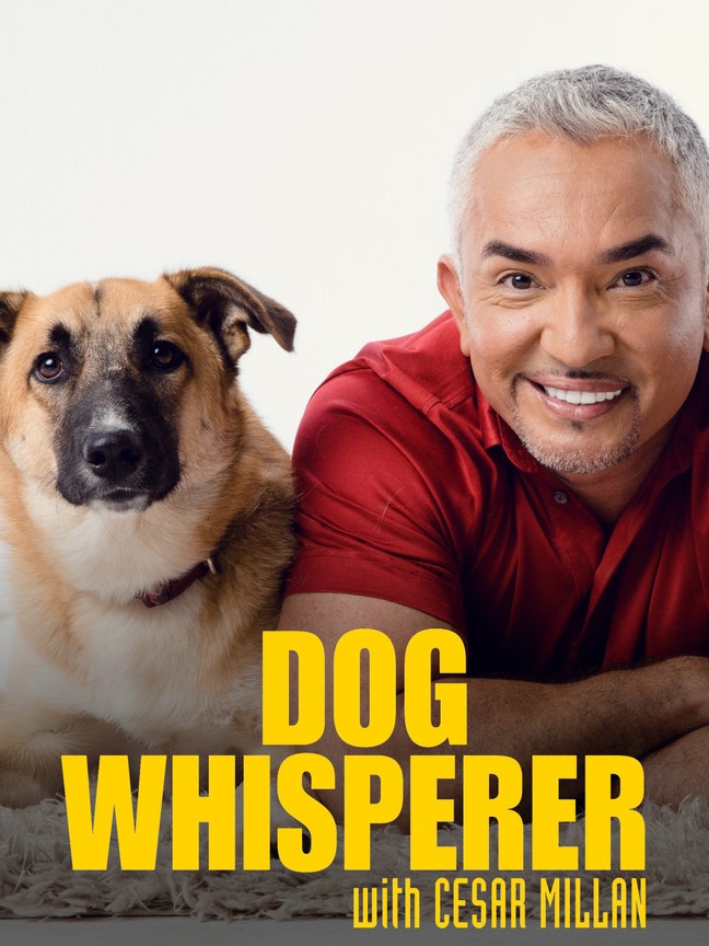 what happened to the dog whisperer tv show