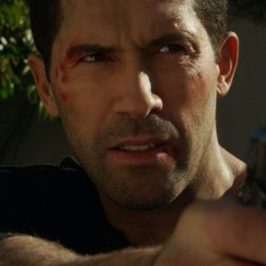 Seized Rotten Tomatoes