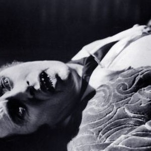 Count Yorga, Vampire (1970) photo 8