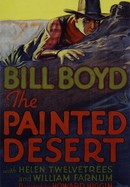 The Painted Desert poster image