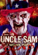 Uncle Sam poster image