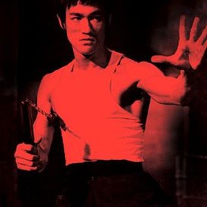 RETURN OF THE DRAGON, Bruce Lee, 1972