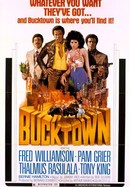 Bucktown poster image