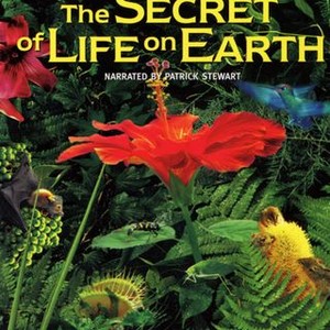 The Secret of Life on Earth - Rotten Tomatoes