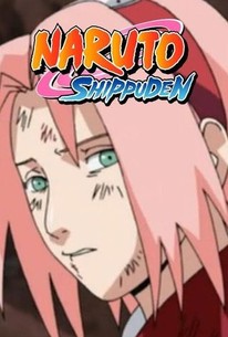 Naruto - Shippuden: Complete Series 6 [DVD]
