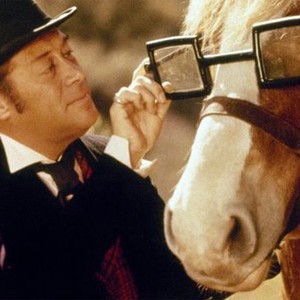 Doctor Dolittle (1967) photo 9