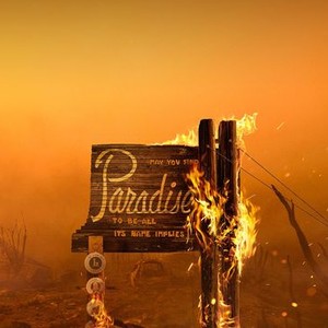 Rebuilding Paradise photo 8