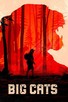 Poster for
