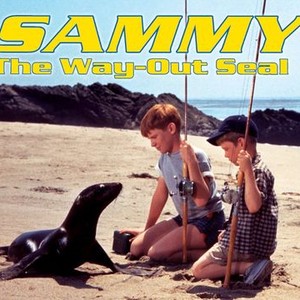 Sammy the Way Out Seal photo 1