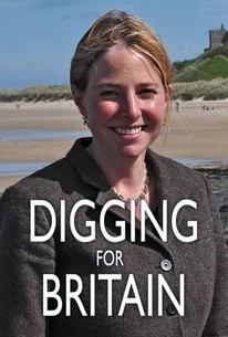 Digging for Britain: Season 1 poster image