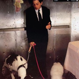 FOR LOVE OR MONEY, (aka LE CONCIERGE DU BRADBURY), Michael J. Fox, 1993, © Universal