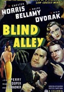 Blind Alley poster image