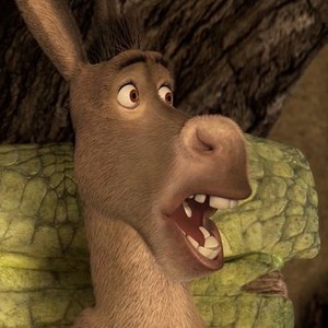 shrek yelling at donkey