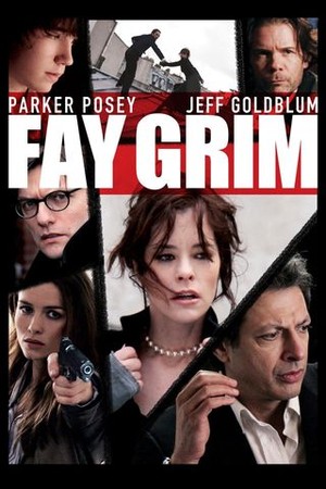 Fay Grim poster