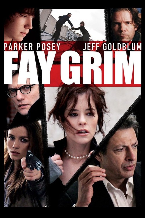 Fay Grim poster