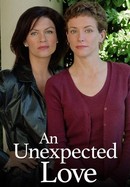 An Unexpected Love poster image