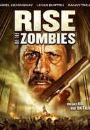 Rise of the Zombies poster image