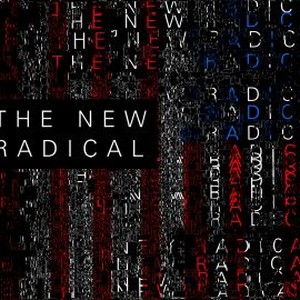 The New Radical photo 12