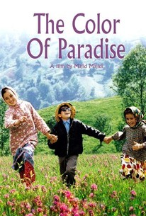 Poster for The Color of Paradise