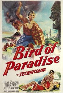 Poster for Bird of Paradise
