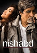 Nishabd poster image
