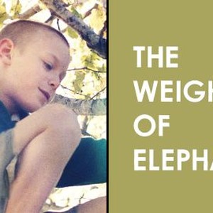 The Weight of Elephants photo 8
