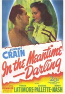 In the Meantime, Darling poster image