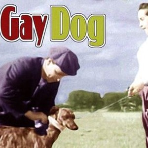 Gay shop dog stories