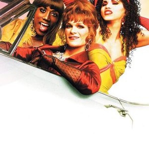 To Wong Foo Thanks for Everything Julie Newmar Rotten Tomatoes