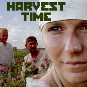Harvest Time photo 1