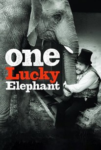 Poster for One Lucky Elephant