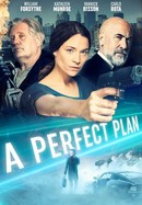 A Perfect Plan poster image