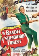 The Bandit of Sherwood Forest poster image