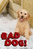 Poster for