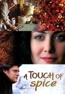 A Touch of Spice poster image
