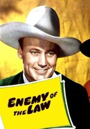 Enemy of the Law poster image