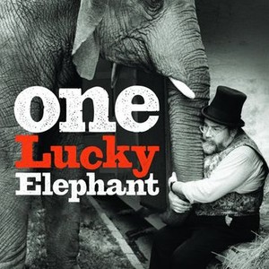 One Lucky Elephant photo 2