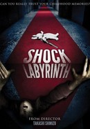The Shock Labyrinth poster image