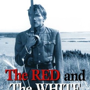 "The Red and the White photo 6"