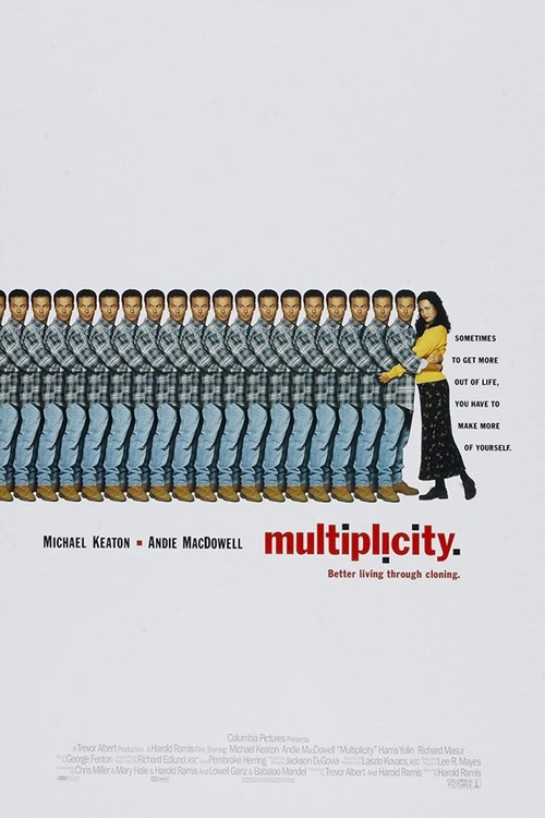 Multiplicity poster