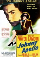 Johnny Apollo poster image