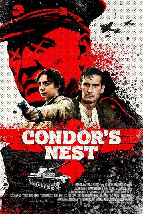 Condor's Nest poster