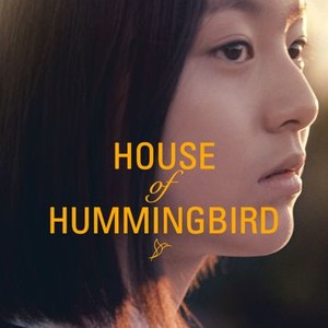 House of Hummingbird photo 6